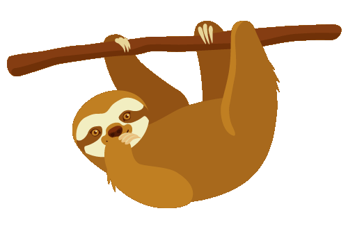 Sloth In La Fortuna